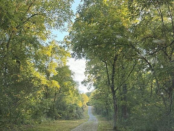 2nd image of 0 County Road 11
