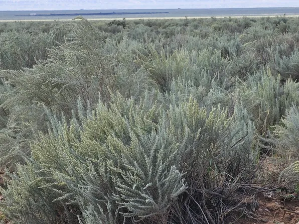 Vl Block 377 Rge Lot 19-17, Belen, NM 87002