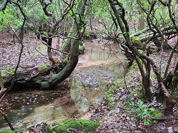 5th image of 0 Whitetail Ridge Dr