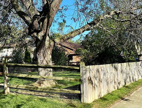 Large fenced back yard