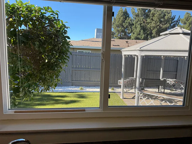 view from kitchen sink