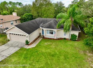 2189 Bolger Ave, Spring Hill, FL 34609