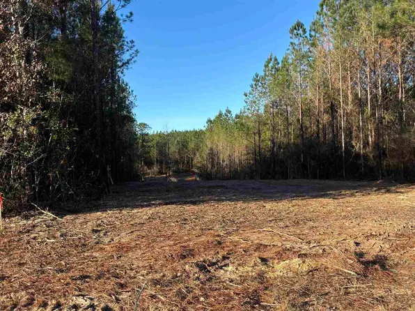 59 Straw Bridge Rd, Jay, FL 32565