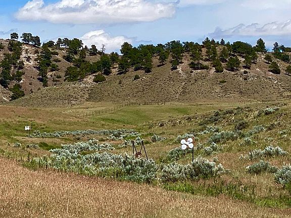 4th image of Bobcat Ridge Tract #4