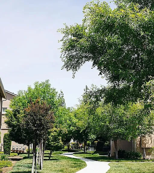 700 Bush Ave #117 — Photo 6