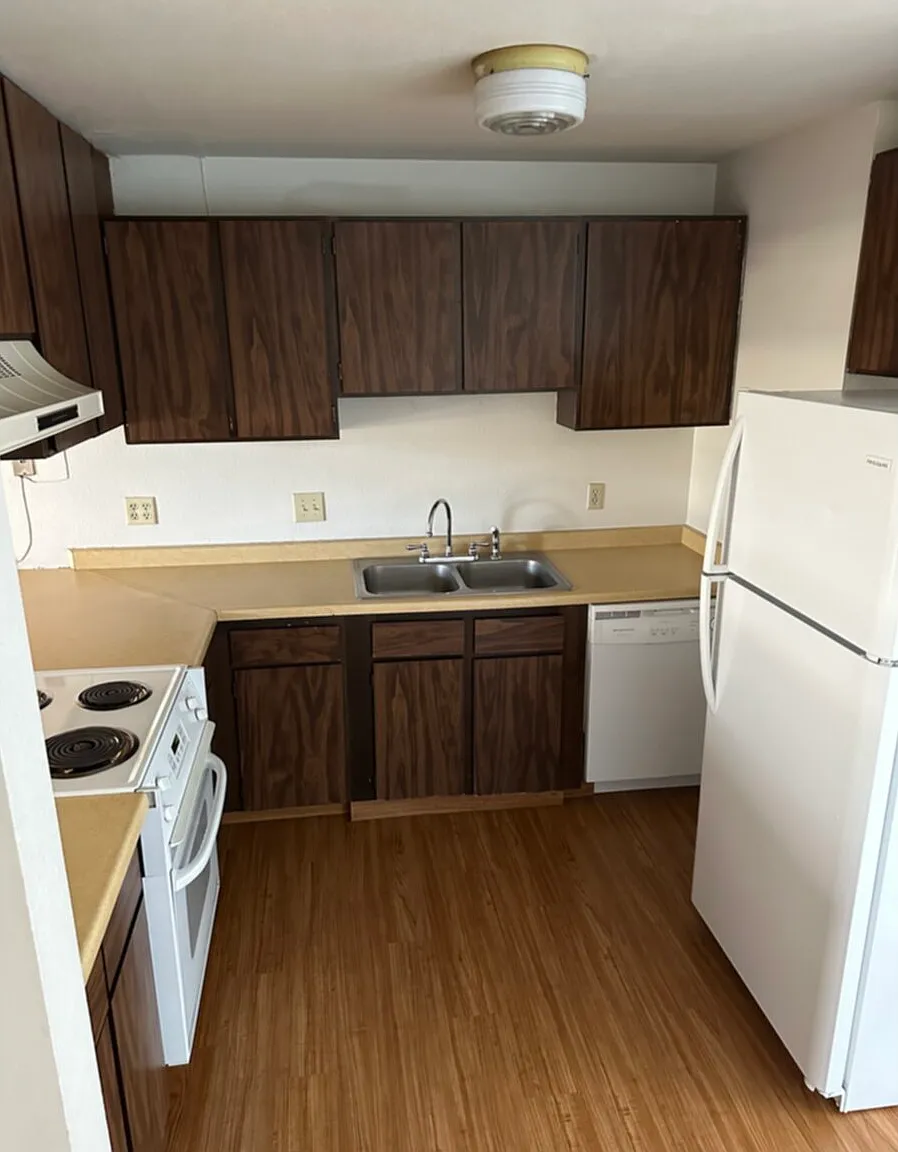 2 bed, 1.0 bath, $950 — Photo 3