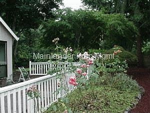 Side yard