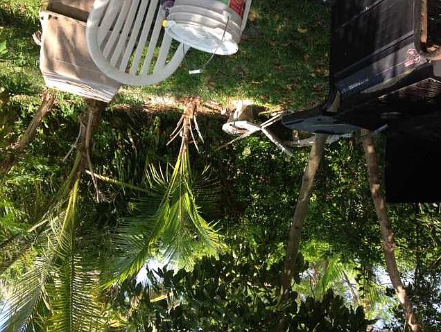 2nd image of 15665 NE 11th Ct
