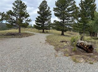 3826 Singletree Rd #728, Hartsel, CO 80449