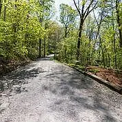 Red Oak Forest Rd — Photo 24