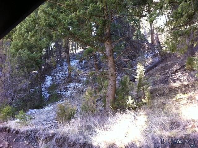 2nd image of Alder Gulch