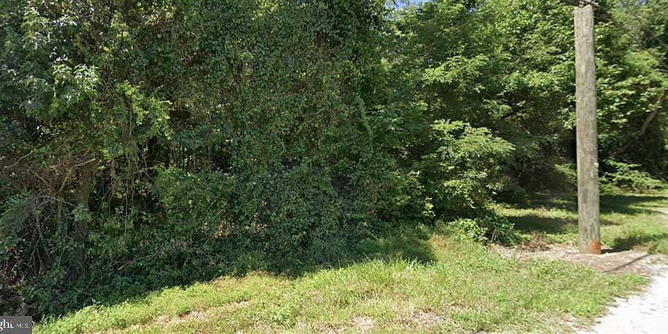 2nd image of 101 Cox Ln