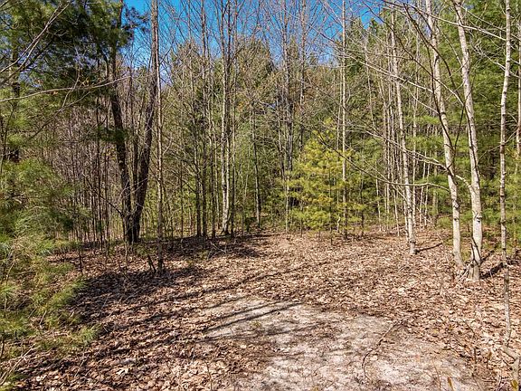 3rd image of 2 Woodland Trl