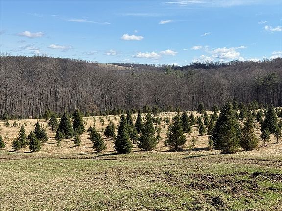 4th image of 0 Prospect Rd