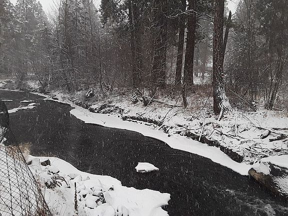 4th image of 133 E Black Crater Ave