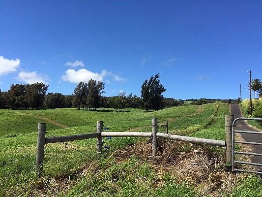1st image of Lot 10