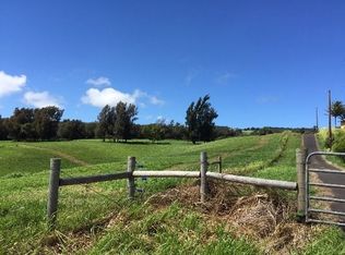 Lot 10, Kapaau, HI 96755