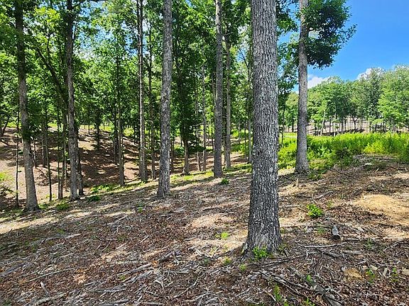 4th image of LOT 106 Split Creek Rd