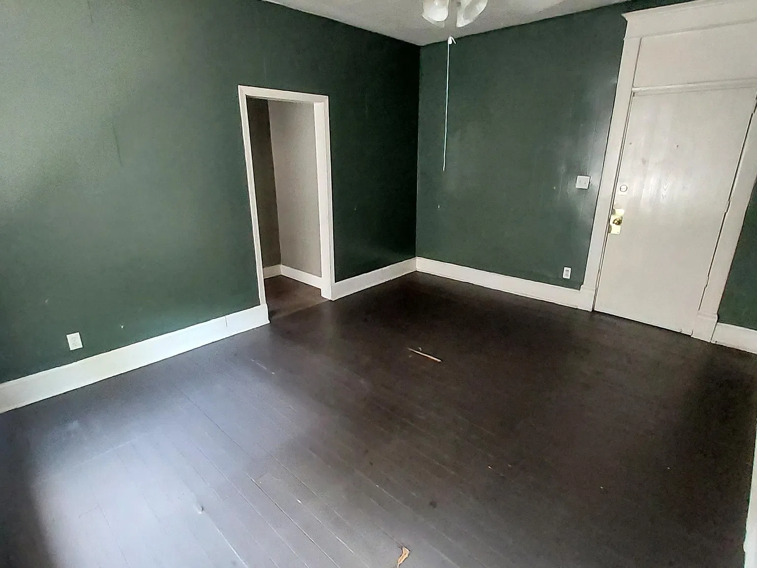 Studio, $650 — Photo 3