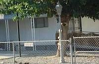 1st image of 44108 C St