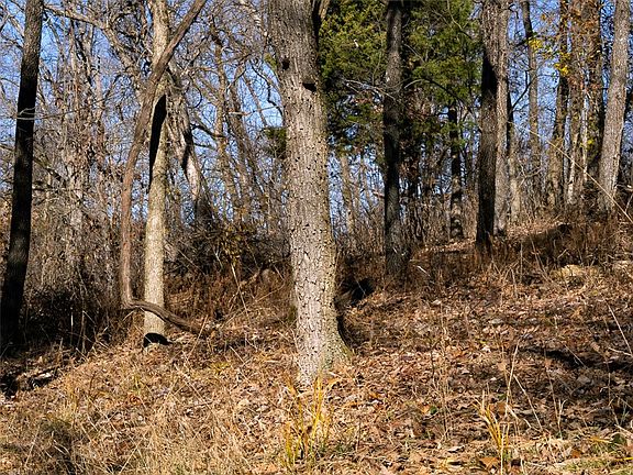 5th image of Oak Leaf Dr #82