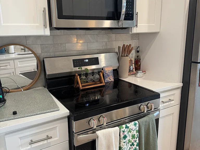 851 S 2nd St #412 — Photo 9