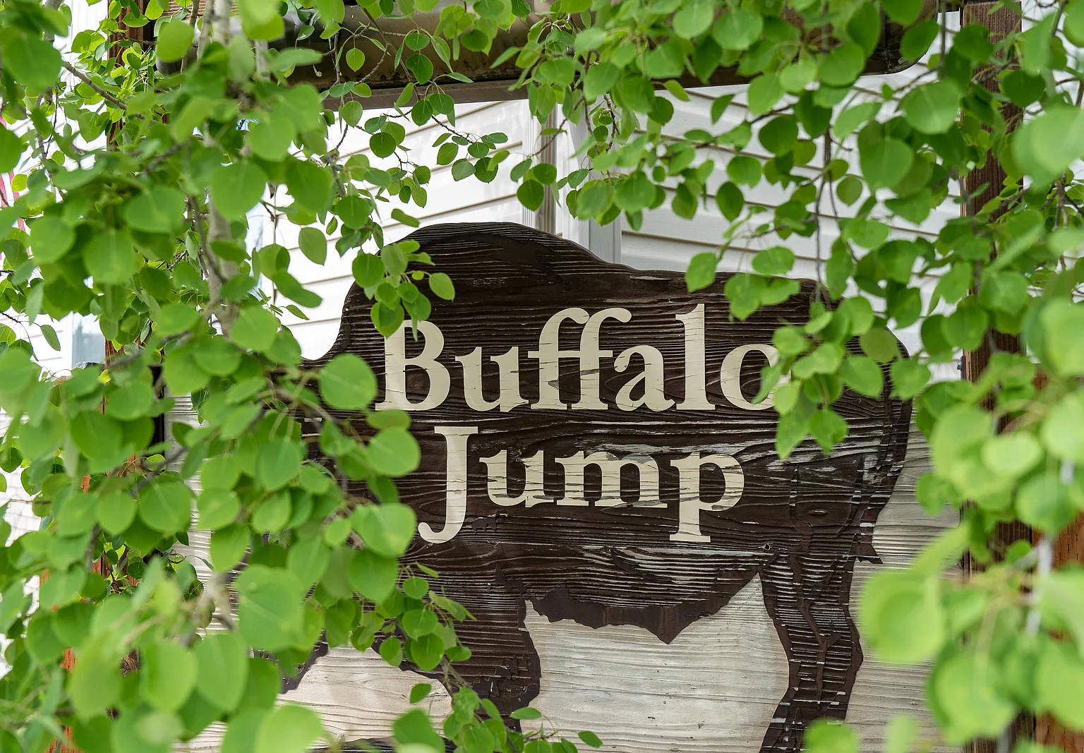 Buffalo Jump Apartments — Photo 1
