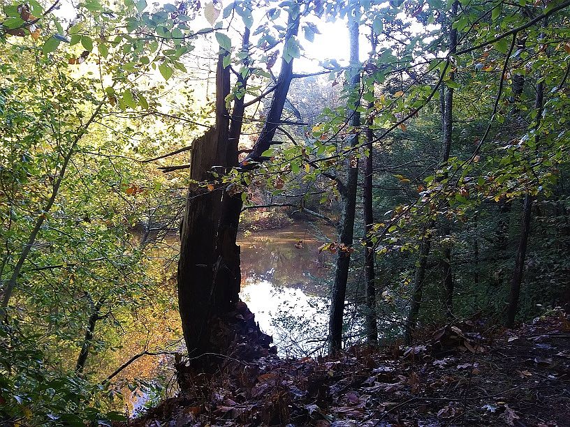 2nd image of 41 Muhlenbrink Rd