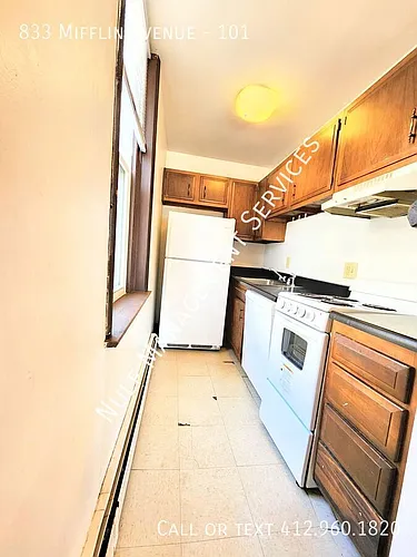 833 Mifflin Ave #101 Photo 1