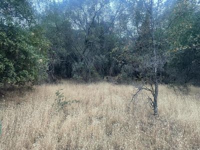 40 Apache Ranch Rd, Ahwahnee, CA, 93601
