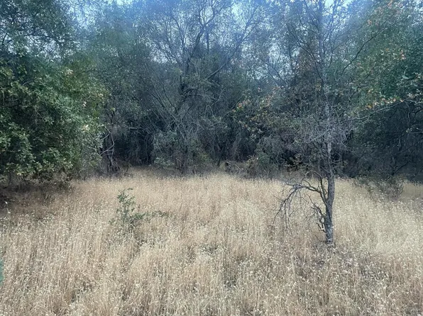 40 Apache Ranch Rd, Ahwahnee, CA 93601