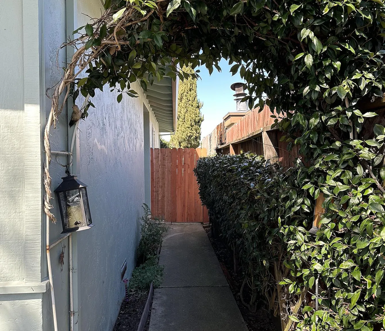 2 bed, 900 sqft, $2,850 — Photo 2
