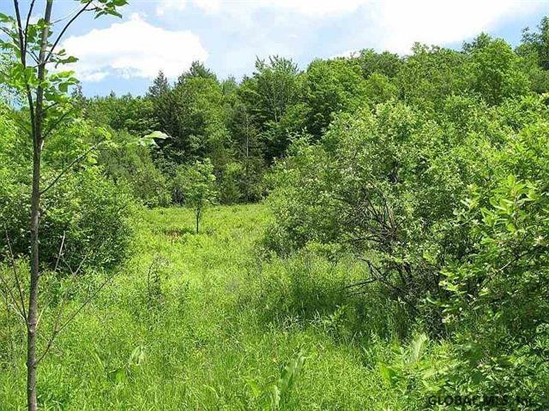 2nd image of 0 GUINEA Road