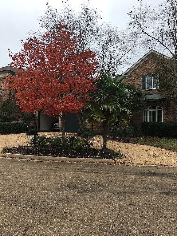 144 Summers Bay Dr, Ridgeland, MS 39157 Zillow