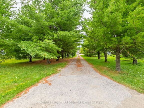 5th image of 1041 Side Road 15