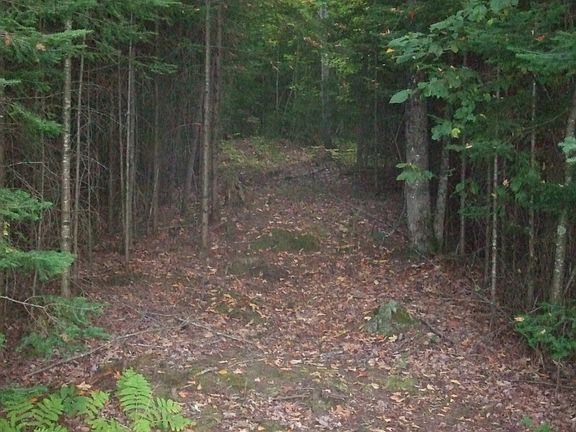 3rd image of Lot 6 Bear Lake Road