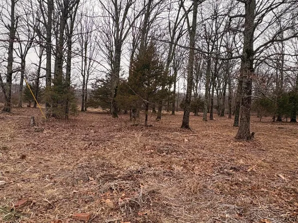 000 Chicory Road #Tract 5, Rogersville, MO 65742