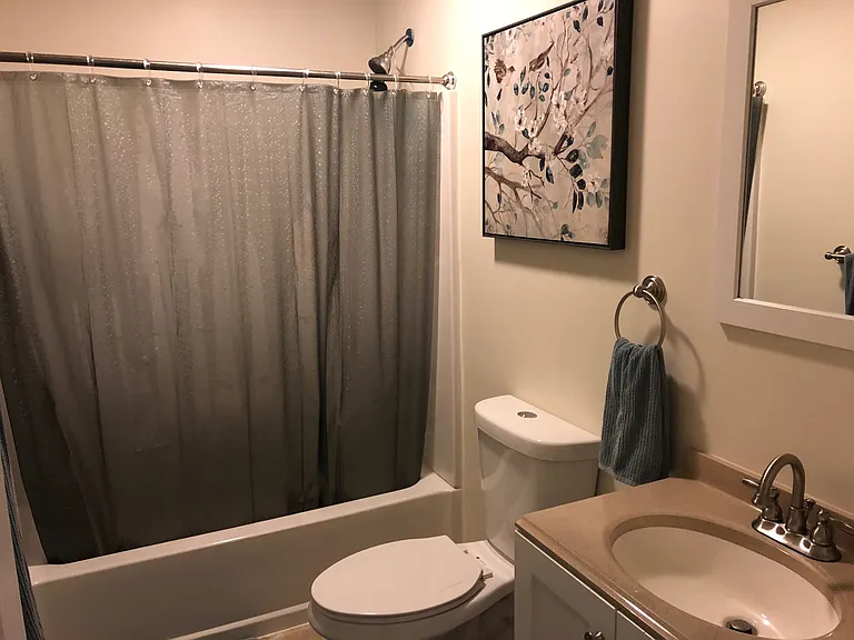 Dunn Master bathroom1_09132019