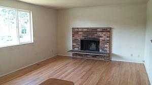 Living Room Fireplace