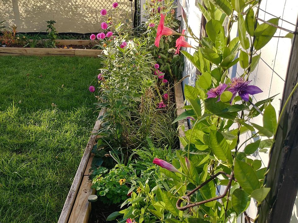 Backyard Garden
