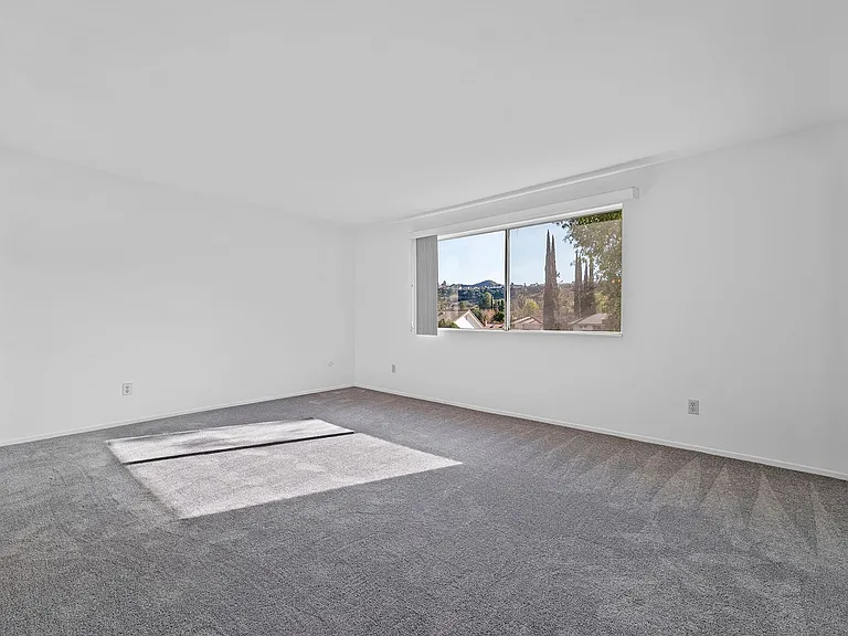 32022 Grenville Ct — Photo 18