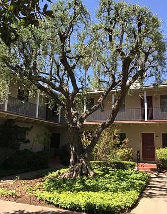 2nd image of 1616 Fair Oaks Ave
