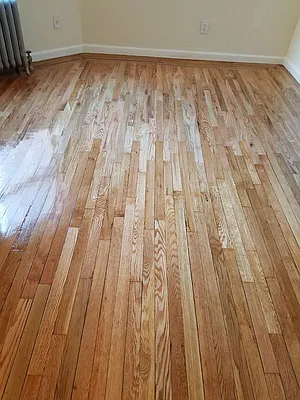 Rented by Sector Property Group | media 16