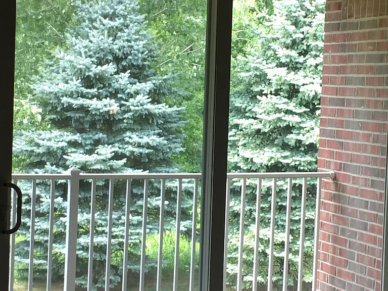 20209 Chesapeake Cir — Photo 39