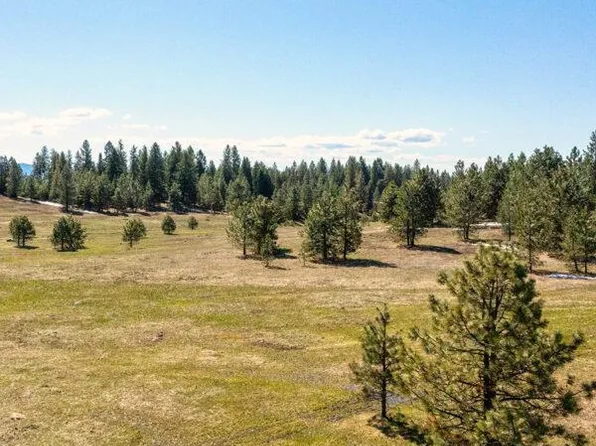 36 To Be Determined, McCall, ID 83638