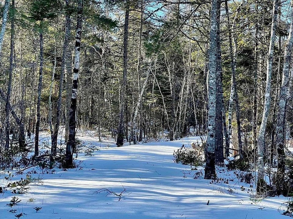 2nd image of Highway 8 Lot 3