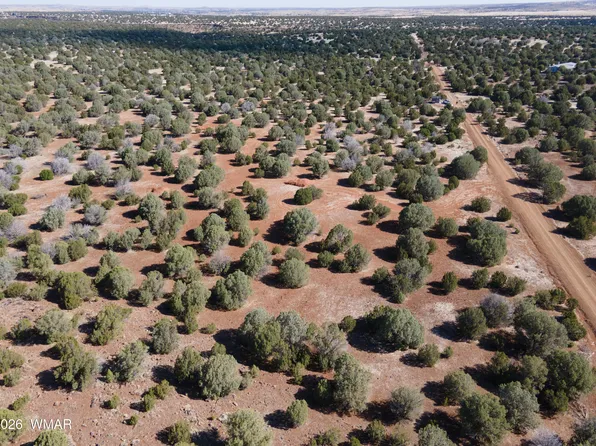 2276 Christopher Trl, Show Low, AZ 85901