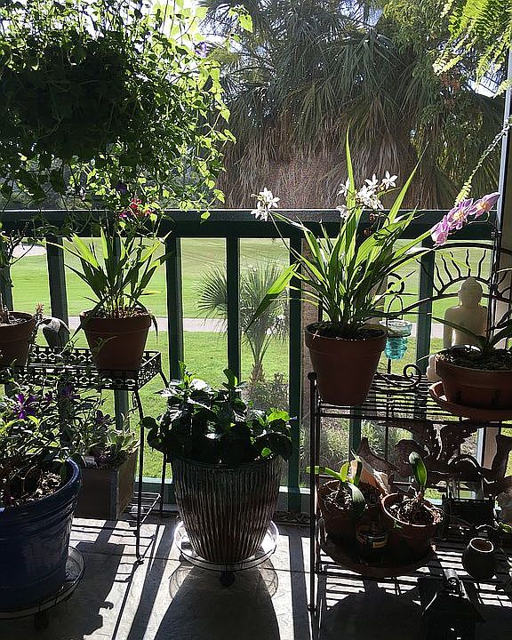 coffee on the balcony 