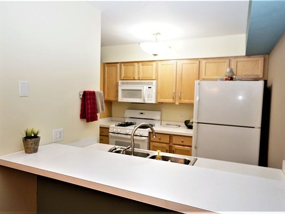 2nd image of 43 N Orchard Ter #2