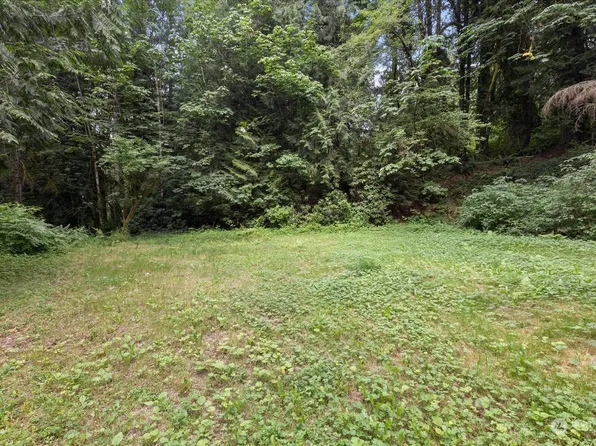 41724 SE 66th Street, Snoqualmie, WA 98065